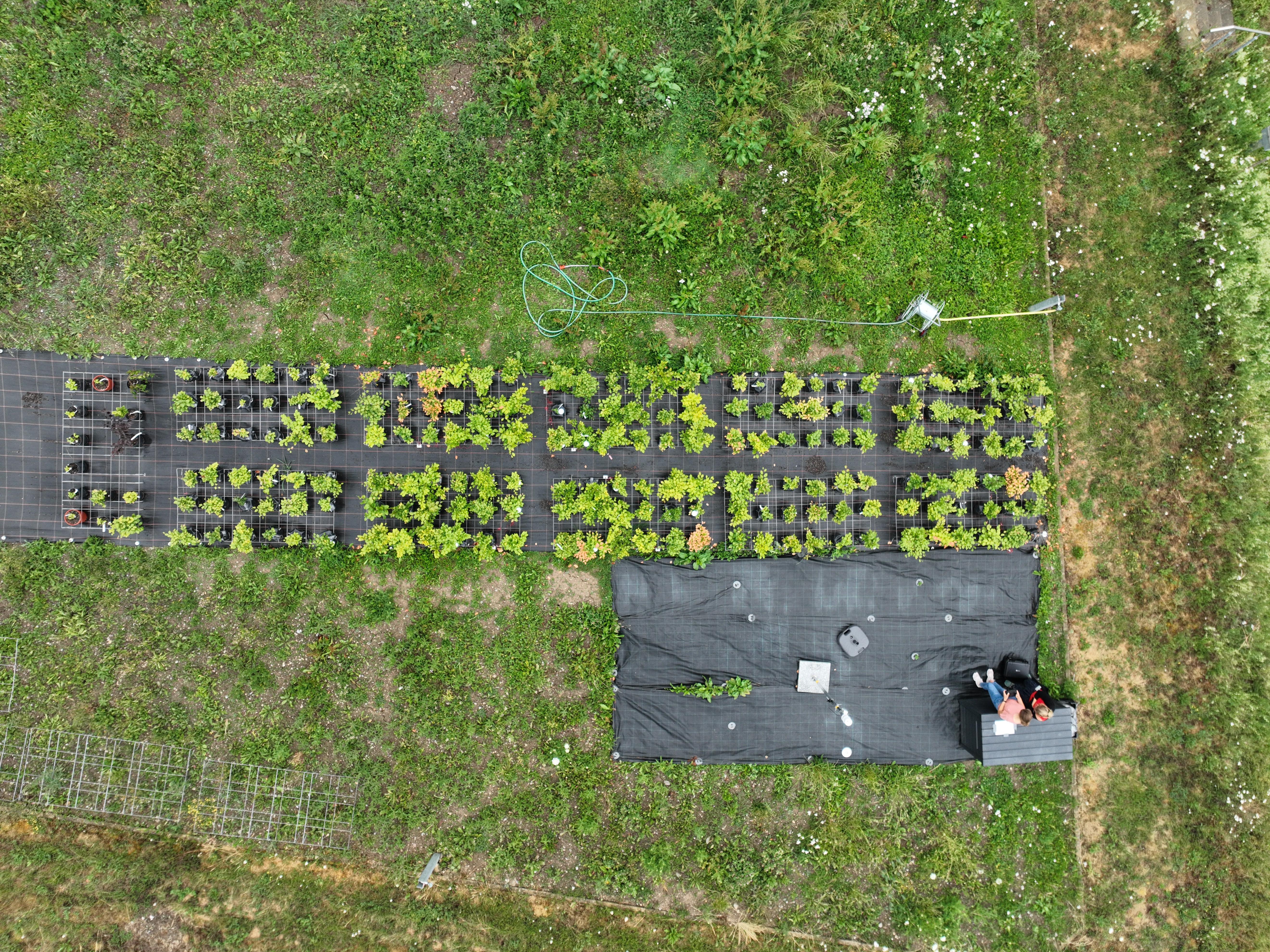 DJI_20230630162210_0015_D